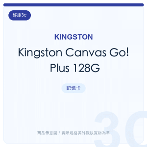 Kingston Canvas Go! Plus 128G